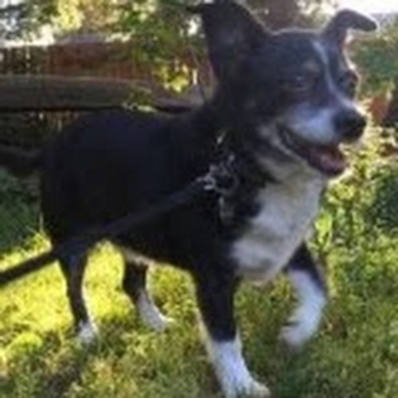 Meet your Posher, Hozumi - Picture 1 of 1